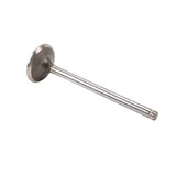 GM LS Exhaust Valve, L76, L98, L77, LS3 - 12582719