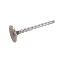 GM LS Exhaust Valve, L76, L98, L77, LS3 - 12582719