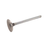 GM LS Exhaust Valve, L76, L98, L77, LS3 - 12582719
