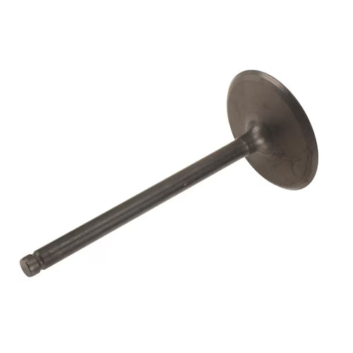 GM LS Intake Valve, L76, L98, L77 - 12627970