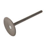 GM LS Intake Valve, L76, L98, L77 - 12627970