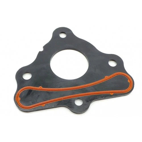 Cam Retaining Plate - LS