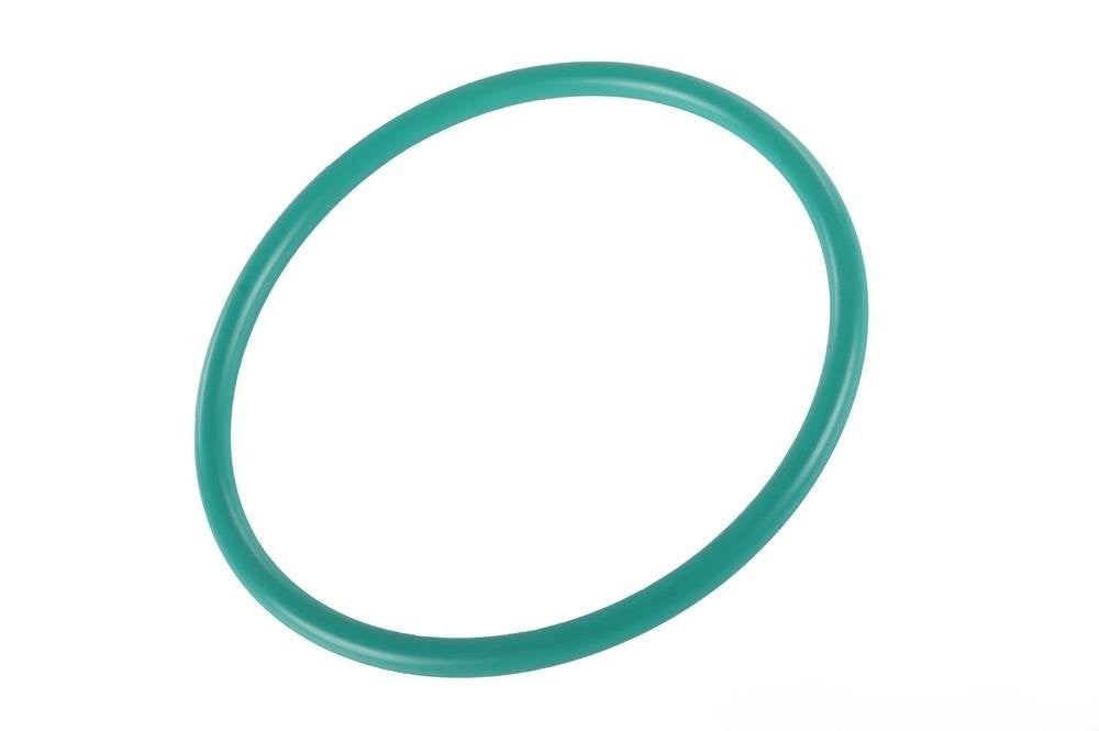 GM VE/VF Fuel Sender Seal/O-ring - 92231228