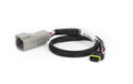 Haltech iC-7 / uC-10 CAN Adaptor Loom DTM-4 to Molex Mizu-P25 - Suits Holley
