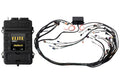 Haltech Elite 2500 + GM GEN IV LSx (LS2/LS3 etc) non DBW Terminated Harness Kit