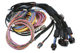 Haltech NEXUS R5 + Universal Wire-in Harness Kit - 5M / 16' Length: 5m (16')